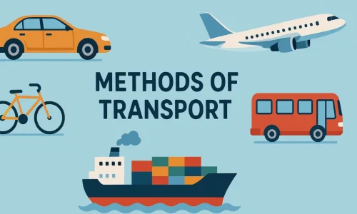 ChatGPT Image Aug 2, 2025, 12_44_50 AM